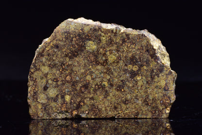 NWA 17493 L3 Ordinary Chondrite Meteorite