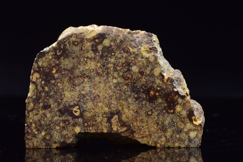 NWA 17493 L3 Ordinary Chondrite Meteorite