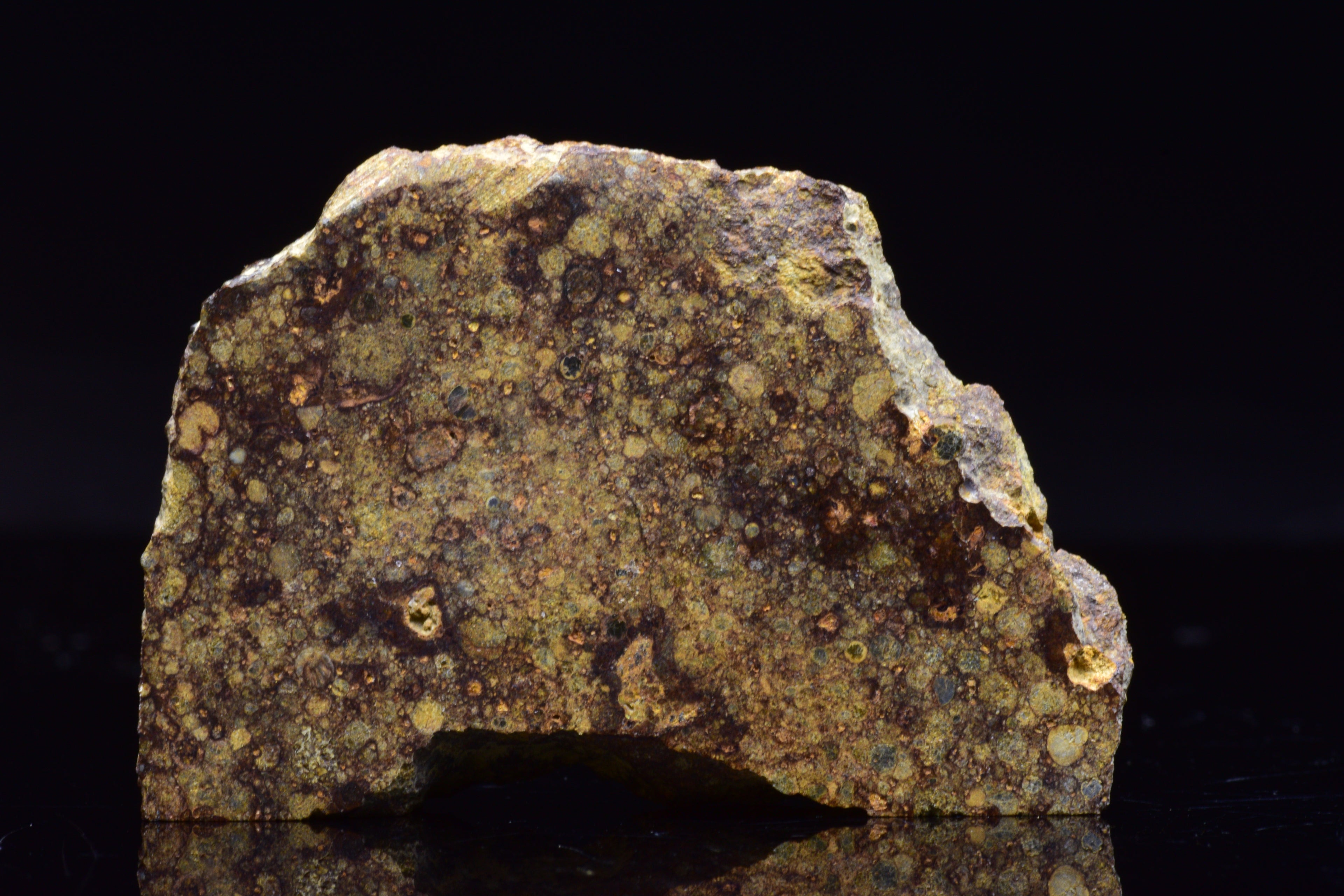 NWA 17493 L3 Ordinary Chondrite Meteorite