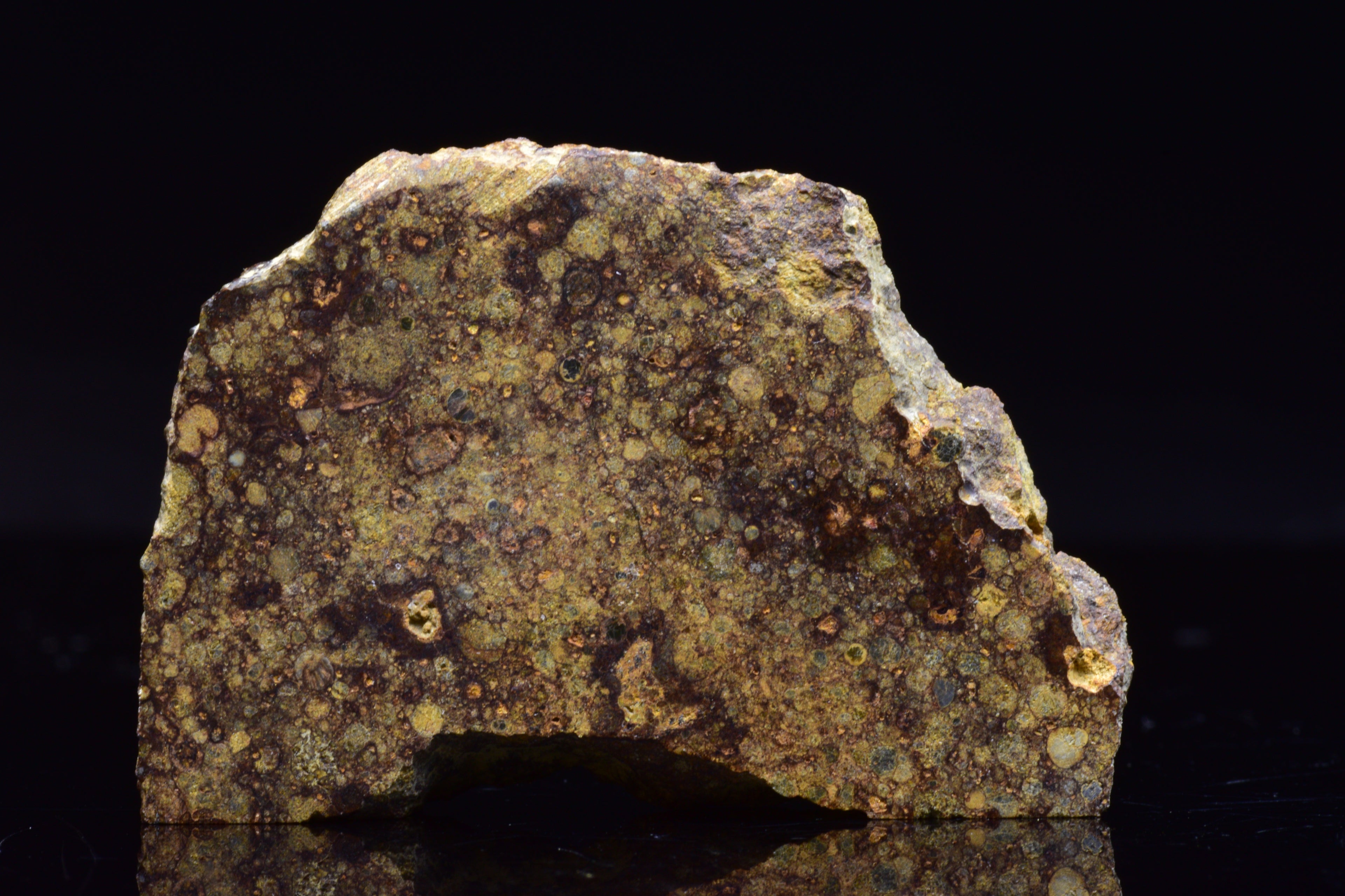 NWA 17493 L3 Ordinary Chondrite Meteorite