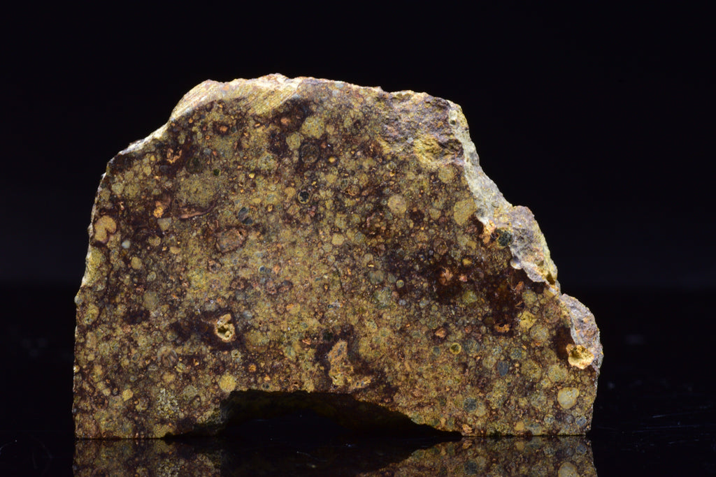 NWA 17493 L3 Ordinary Chondrite Meteorite