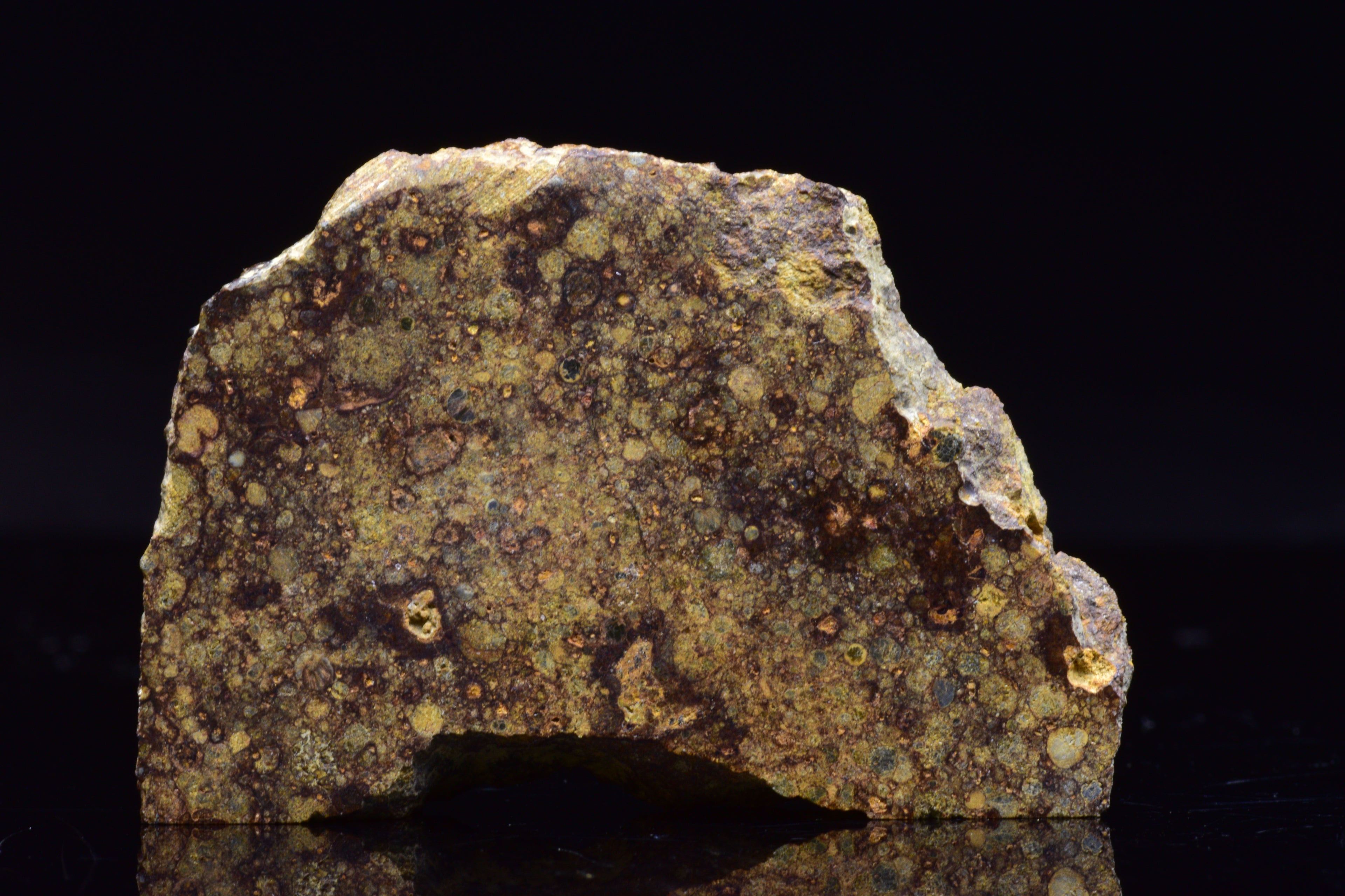 NWA 17493 L3 Ordinary Chondrite Meteorite