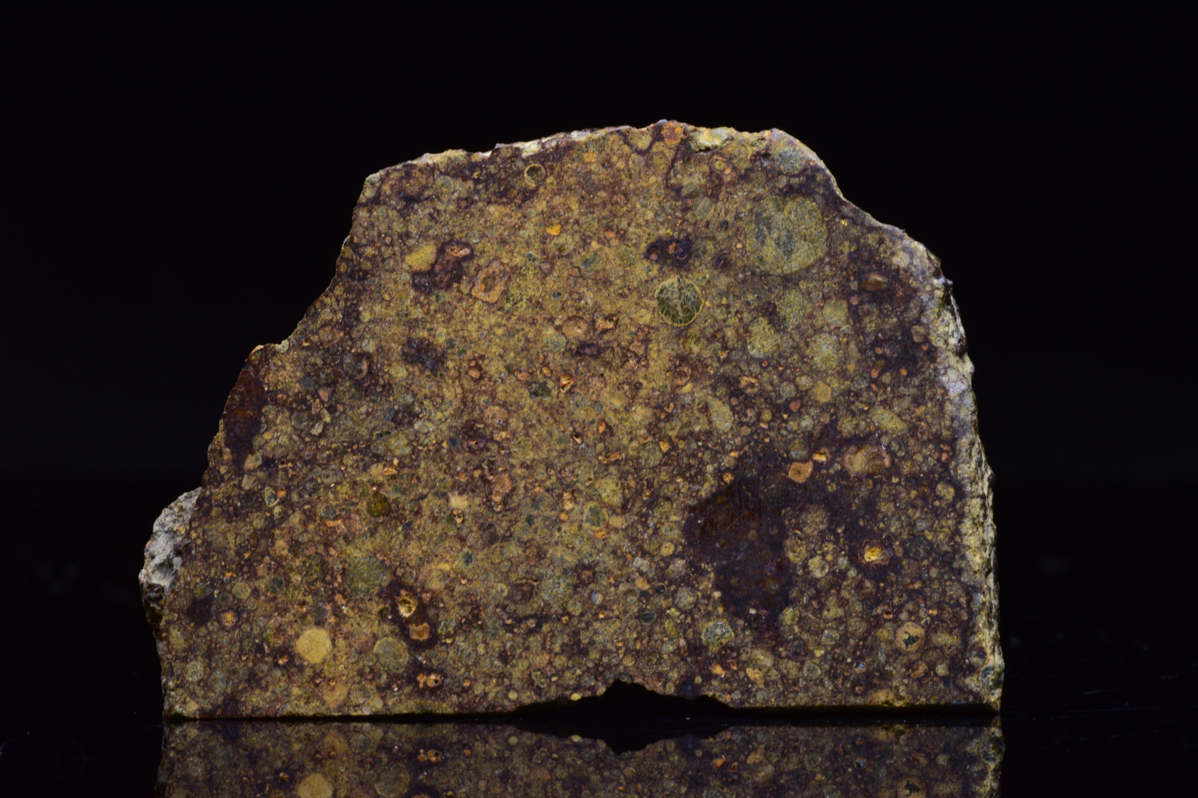NWA 17493 L3 Ordinary Chondrite Meteorite