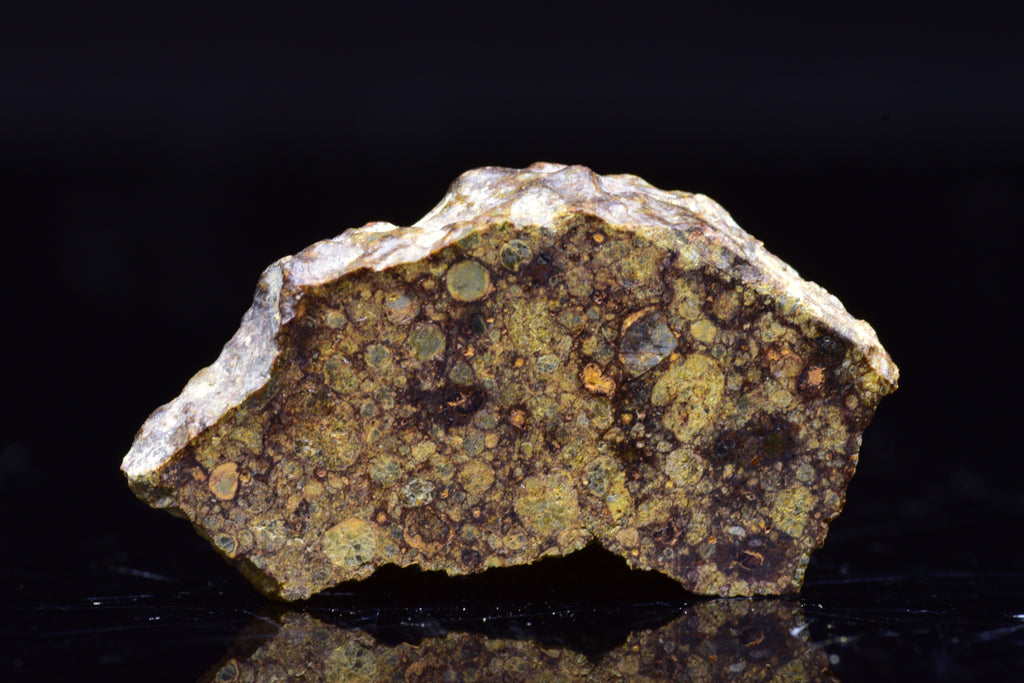 NWA 17493 L3 Ordinary Chondrite Meteorite