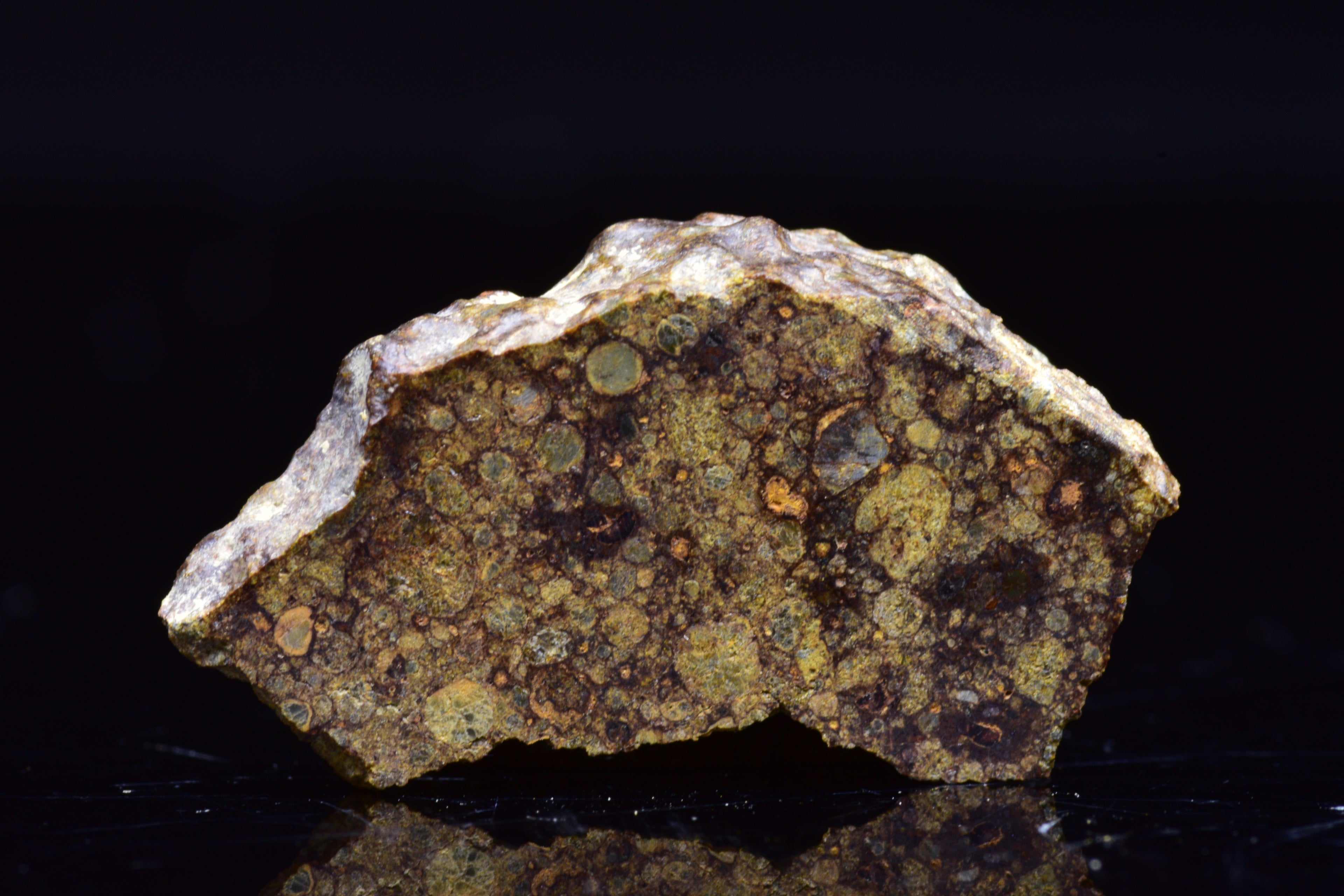 NWA 17493 L3 Ordinary Chondrite Meteorite