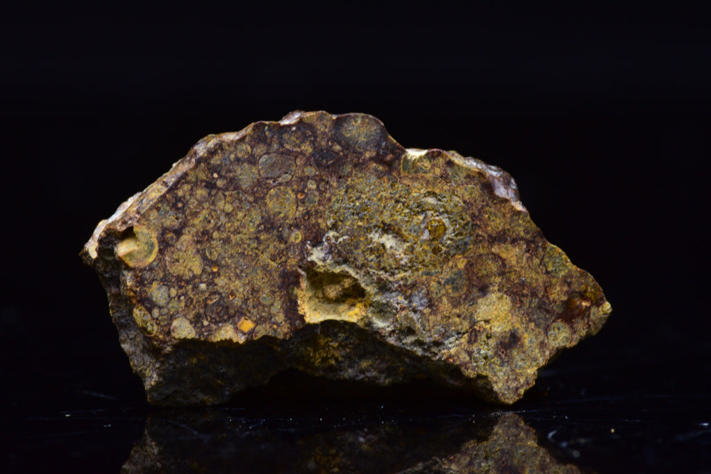 NWA 17493 L3 Ordinary Chondrite Meteorite