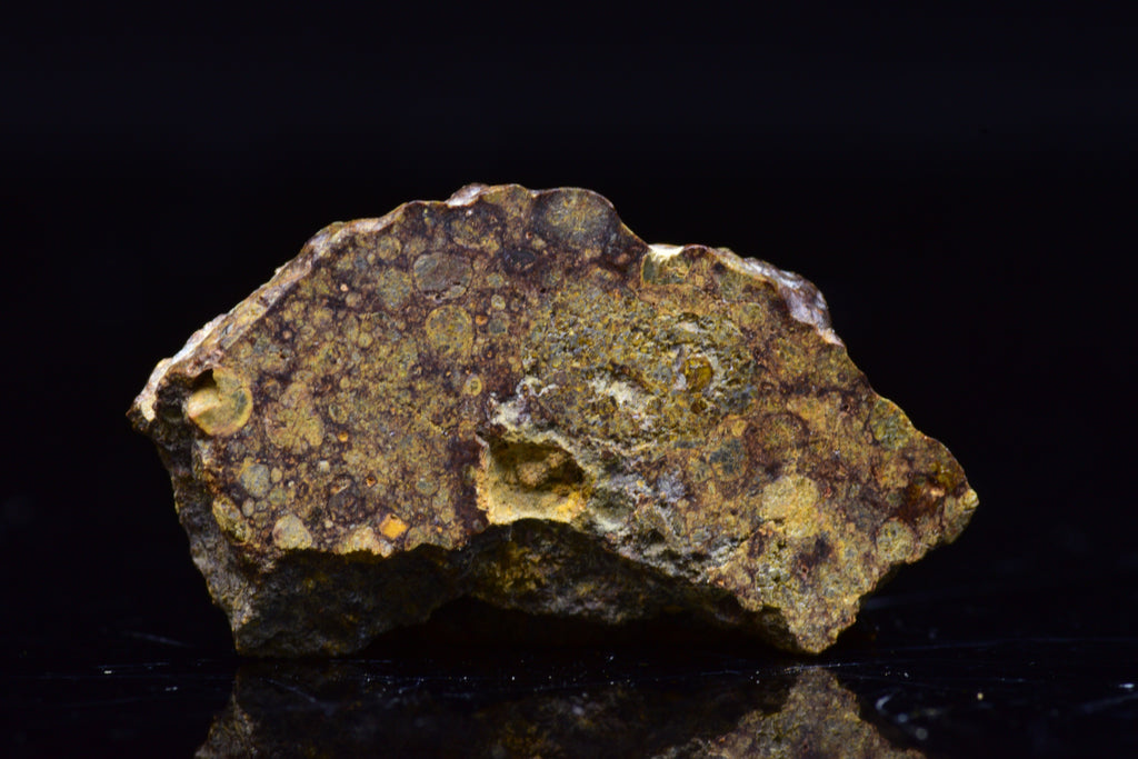 NWA 17493 L3 Ordinary Chondrite Meteorite