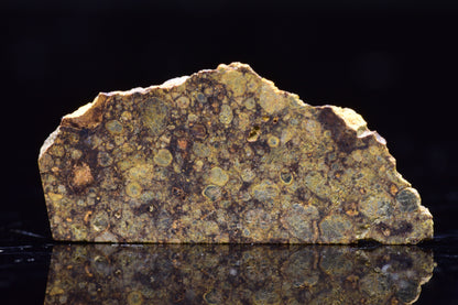 NWA 17493 L3 Ordinary Chondrite Meteorite
