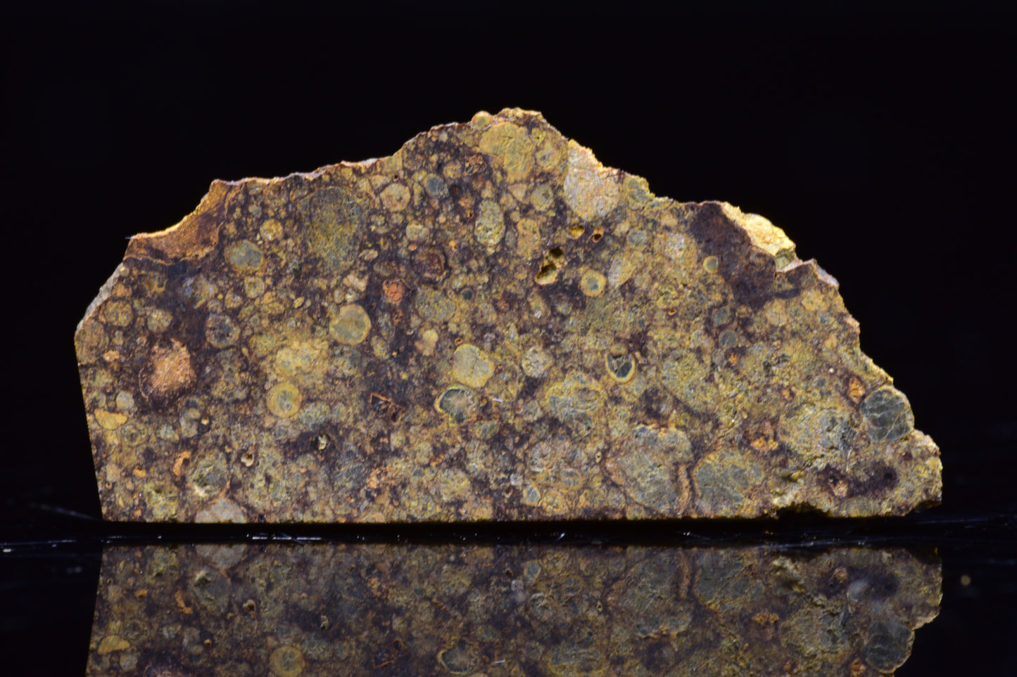 NWA 17493 L3 Ordinary Chondrite Meteorite