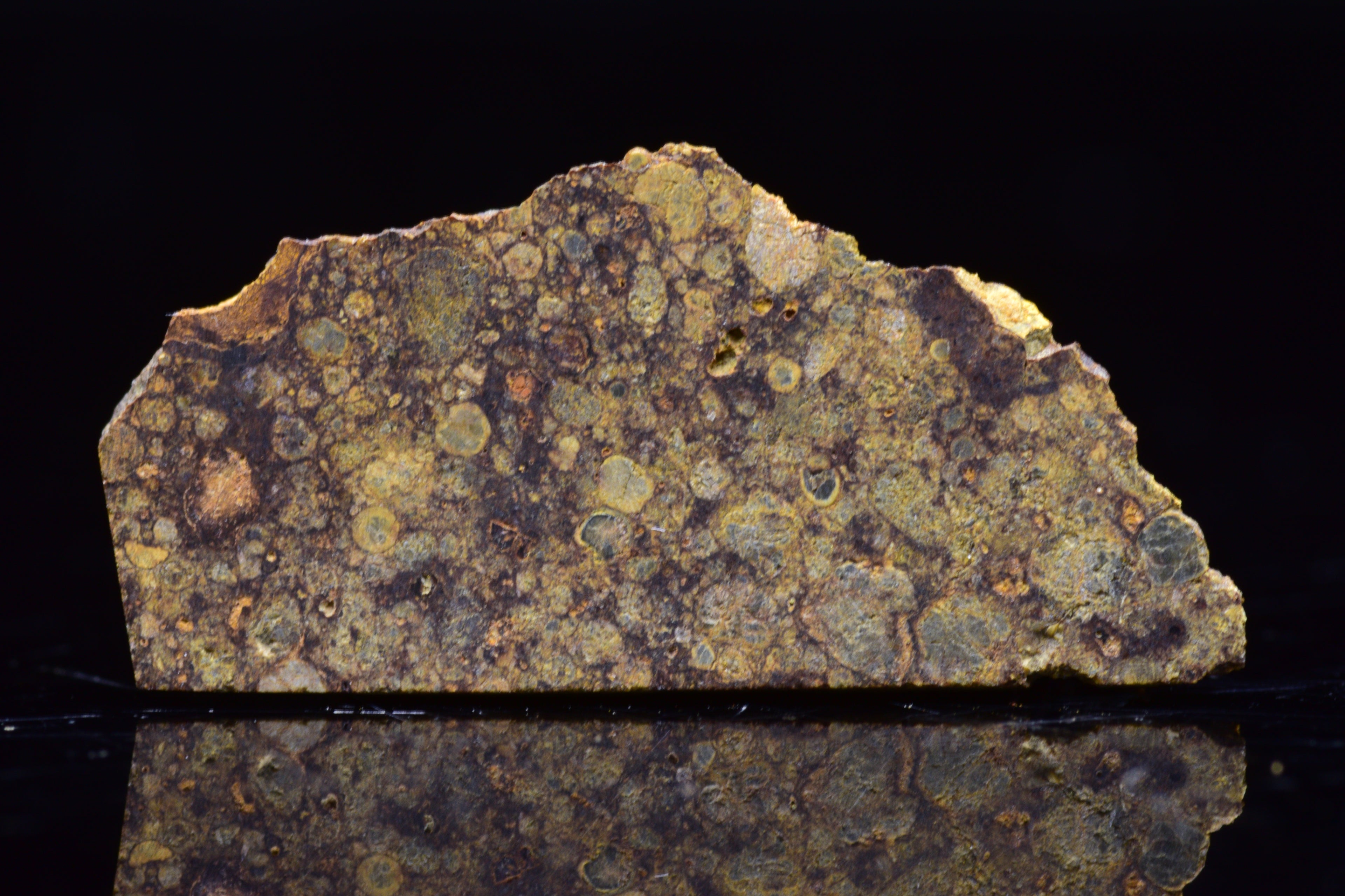 NWA 17493 L3 Ordinary Chondrite Meteorite