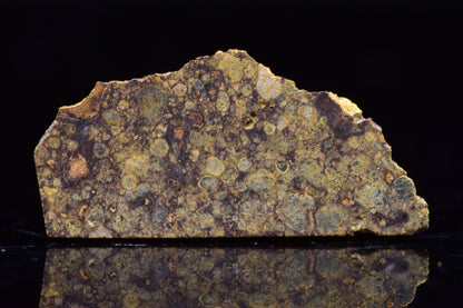 NWA 17493 L3 Ordinary Chondrite Meteorite