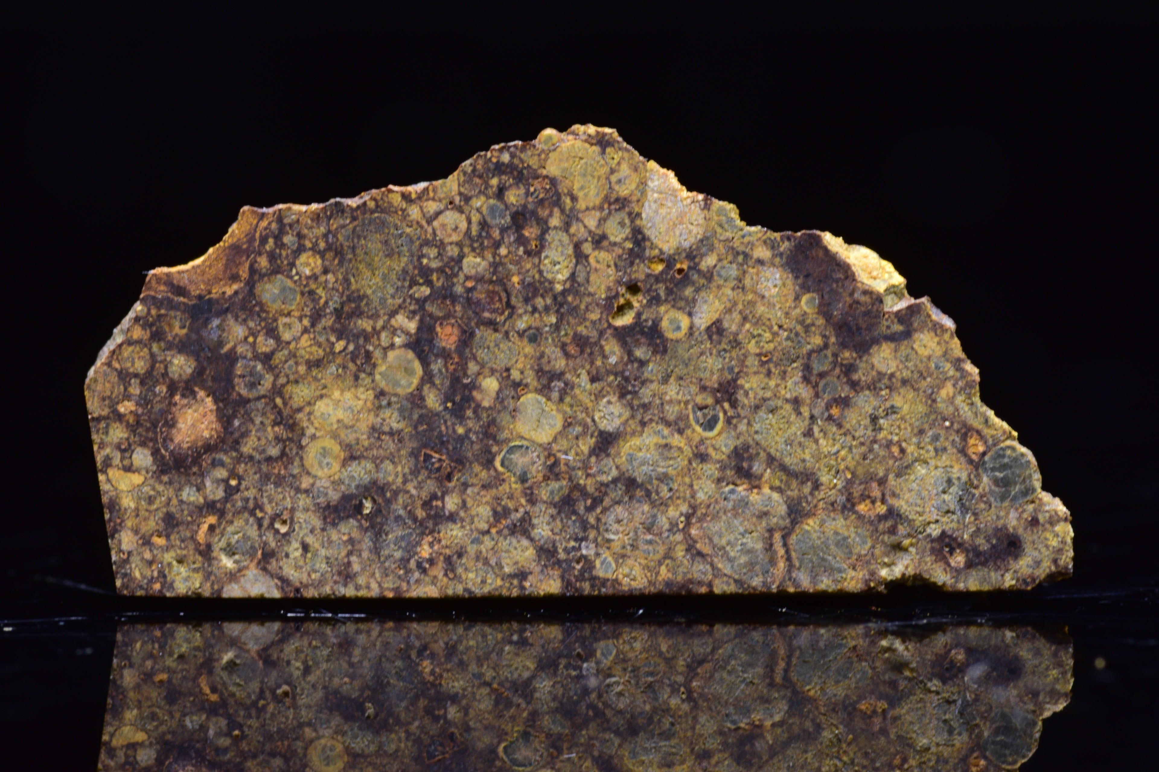 NWA 17493 L3 Ordinary Chondrite Meteorite