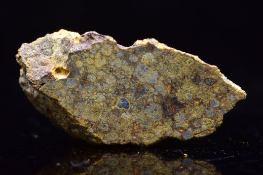NWA 17493 L3 Ordinary Chondrite Meteorite