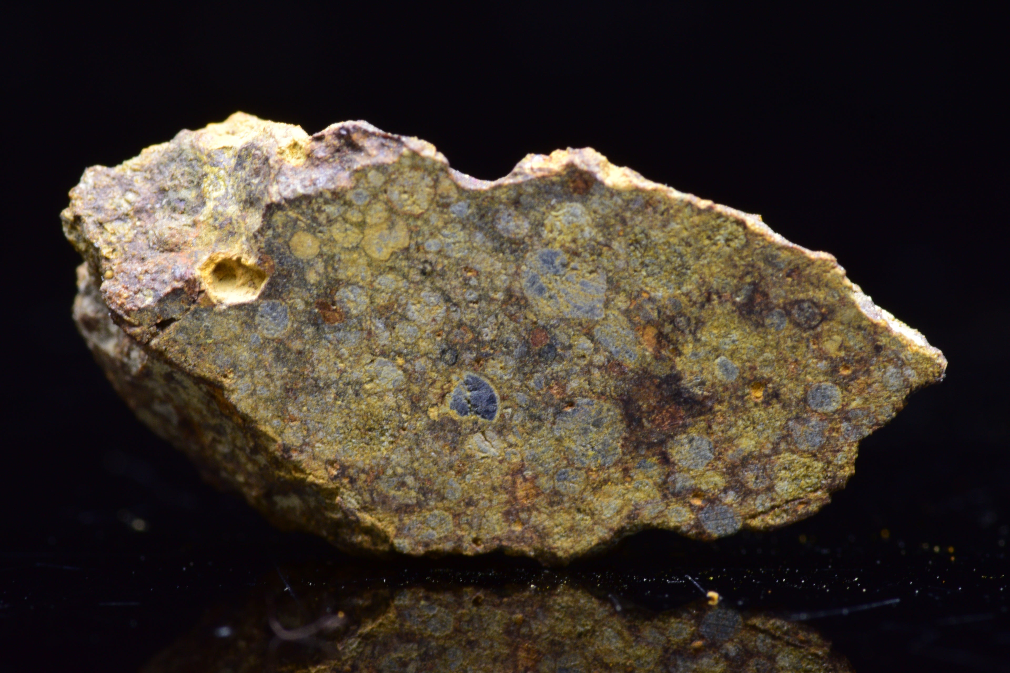 NWA 17493 L3 Ordinary Chondrite Meteorite