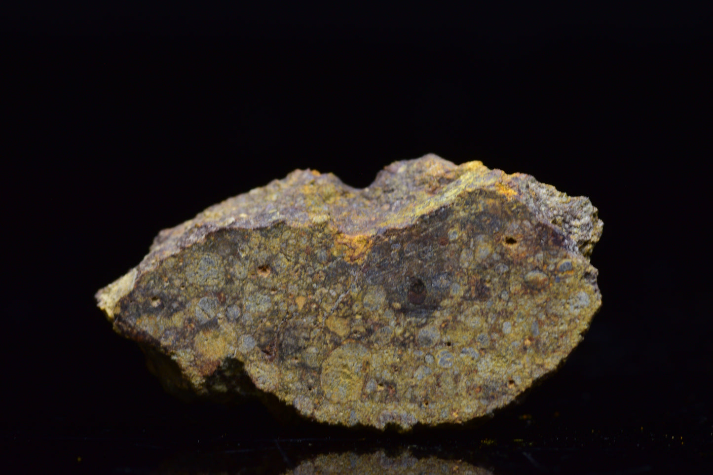 NWA 17493 L3 Ordinary Chondrite Meteorite
