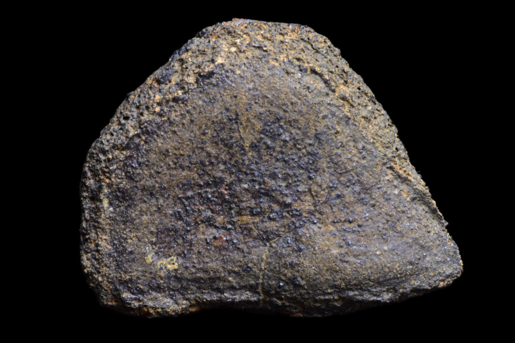 NWA X – A STUNNING PIECE WITH THICK FUSION CRUST!