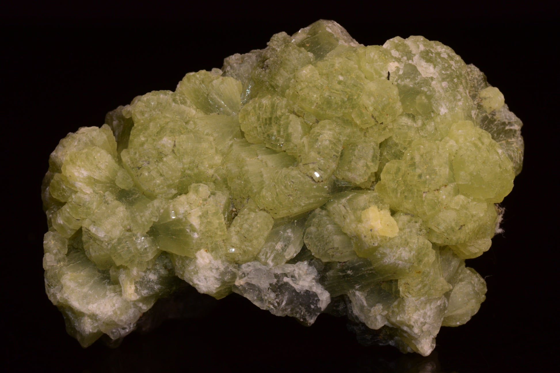 PREHNITE and ACTINOLITE – Boulemane, Morocco V