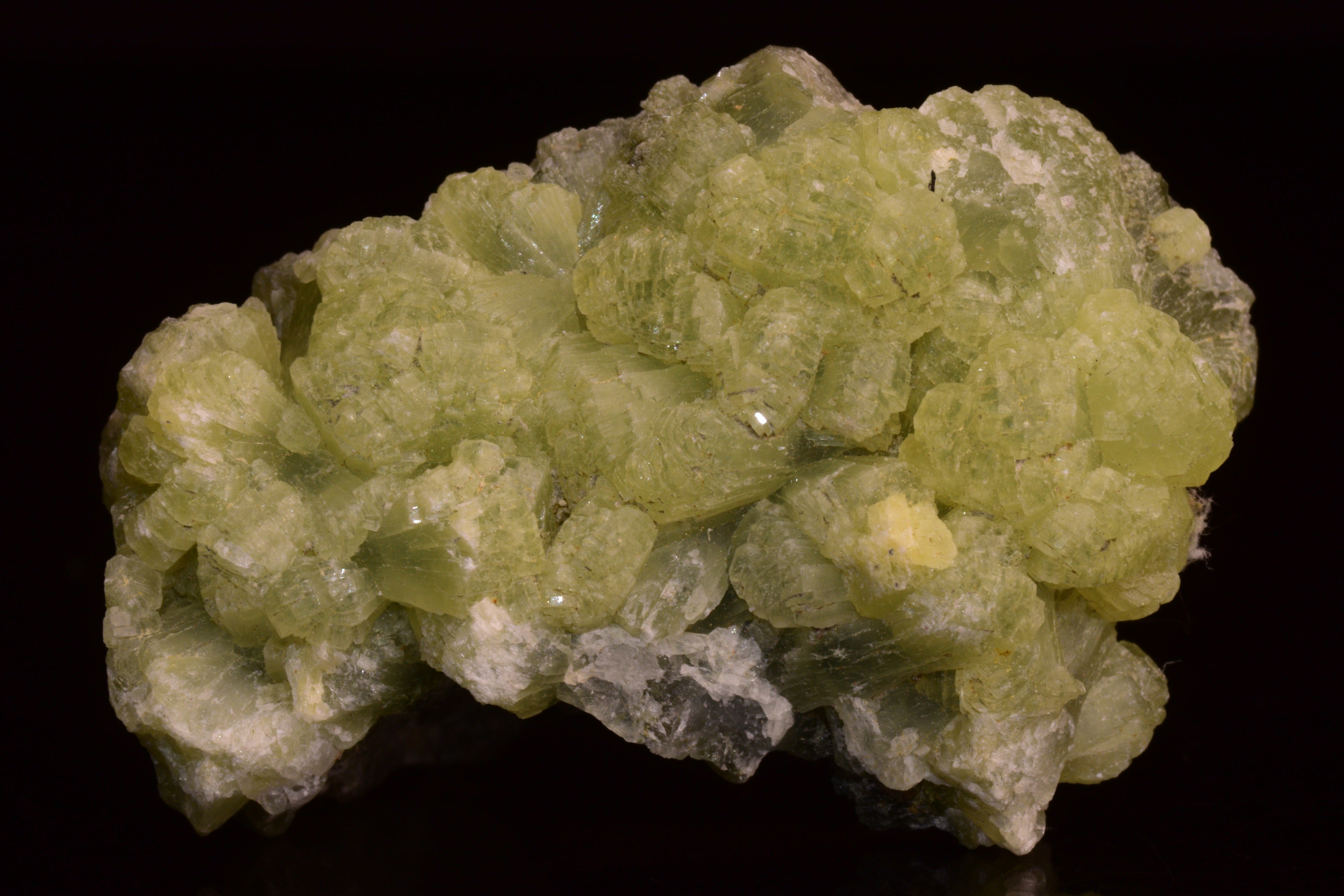 PREHNITE and ACTINOLITE – Boulemane, Morocco V
