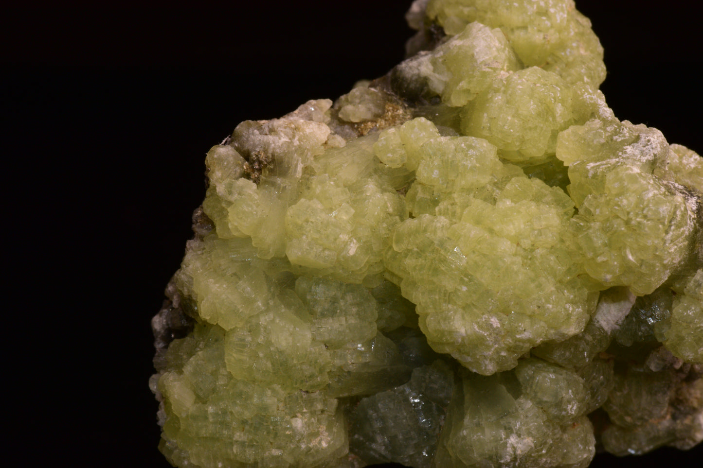 Crystals of prehnite and actinolite from Boulemane, Morocco, displayed together as mineral specimens.