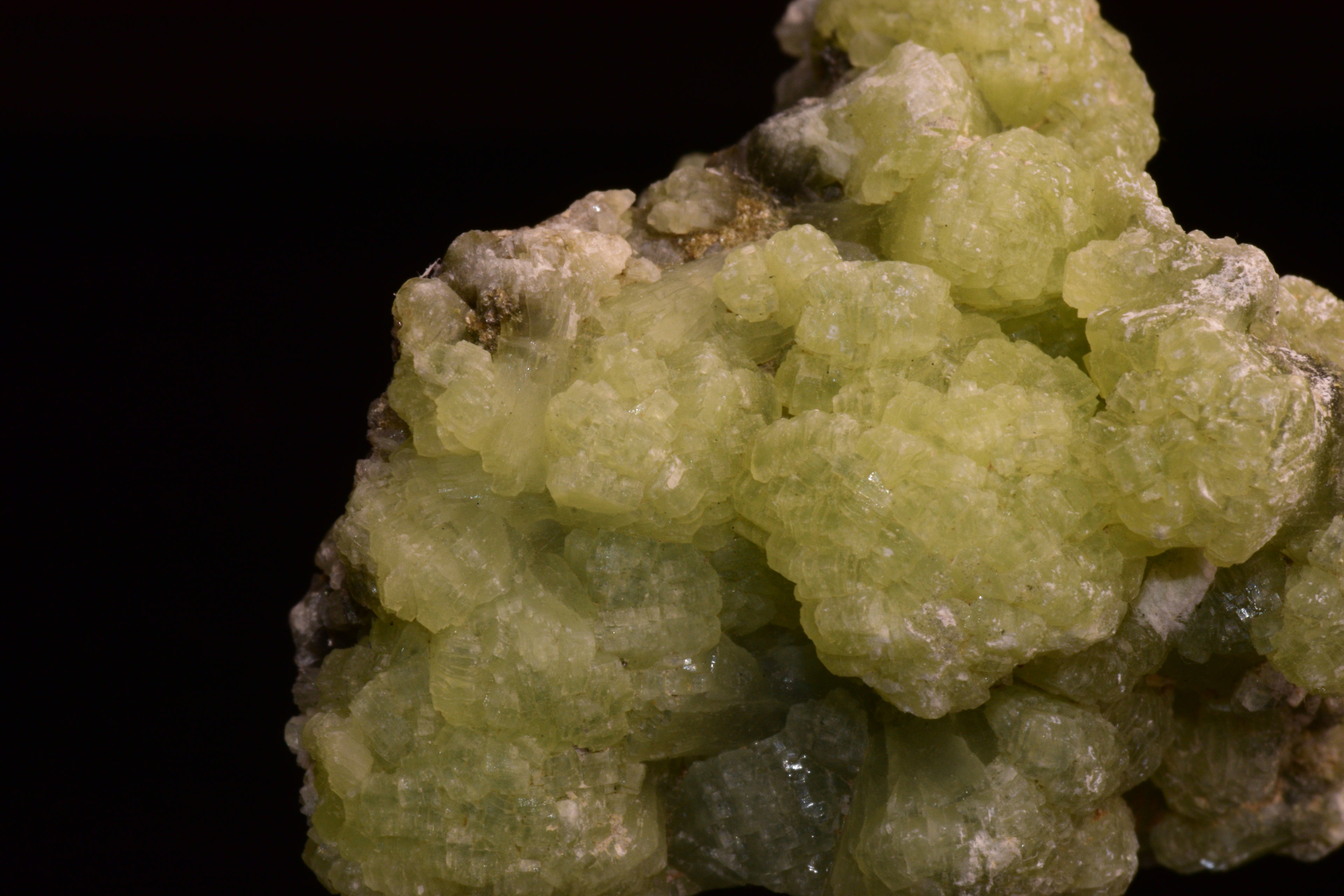 PREHNITE and ACTINOLITE – Boulemane, Morocco