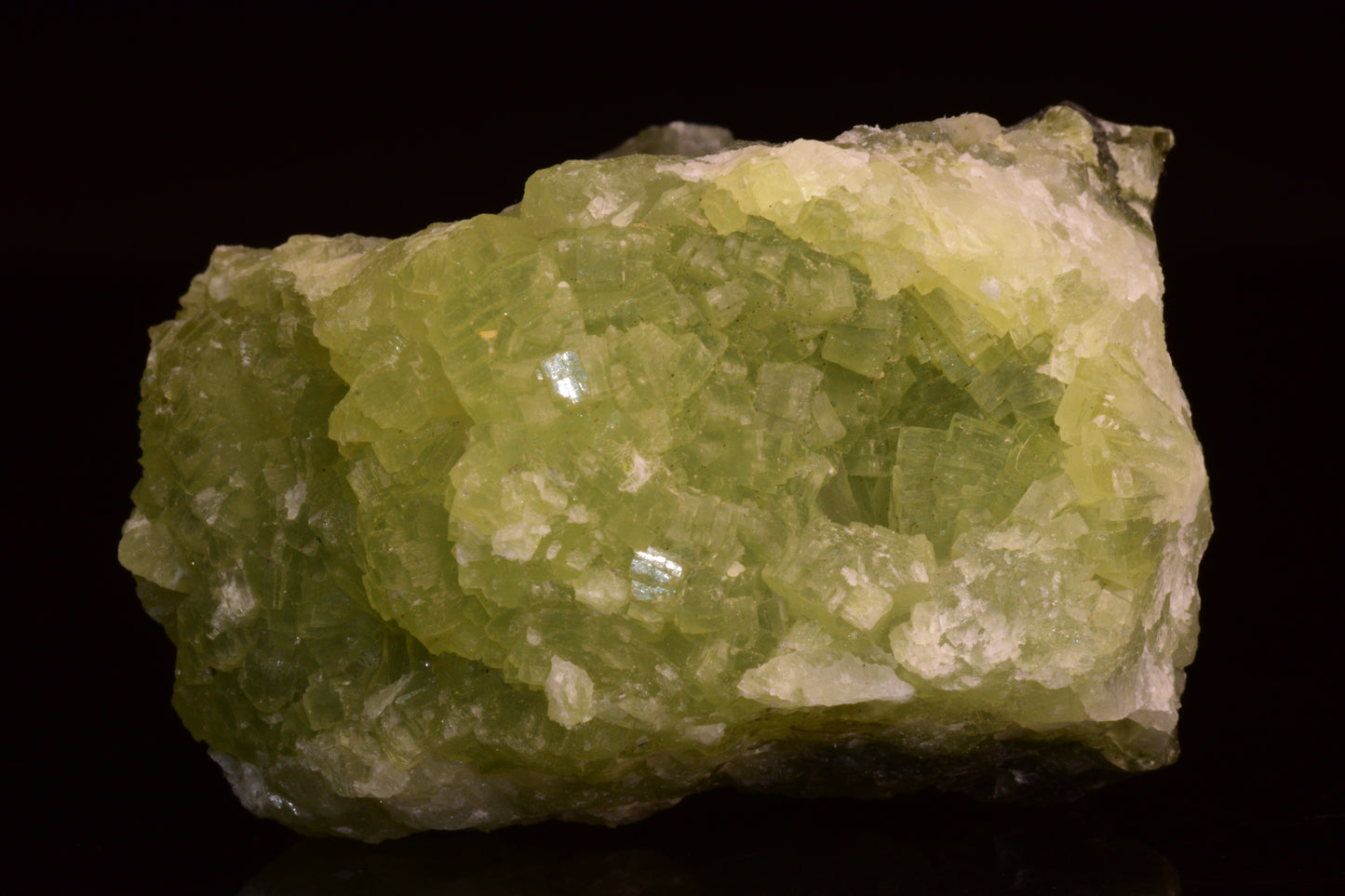 PREHNITE and ACTINOLITE – Boulemane, Morocco