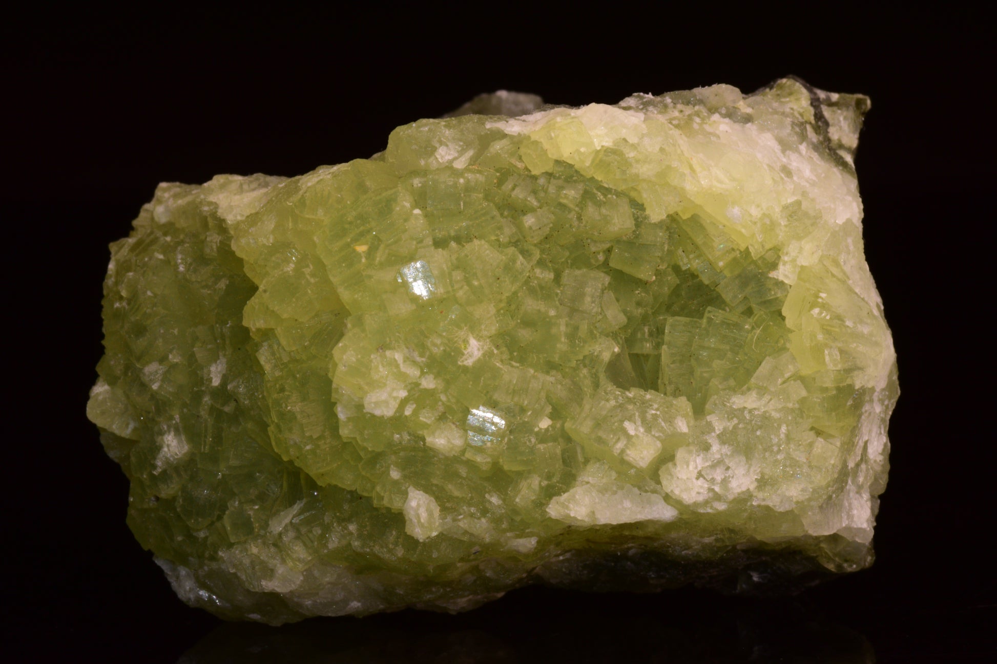PREHNITE and ACTINOLITE – Boulemane, Morocco