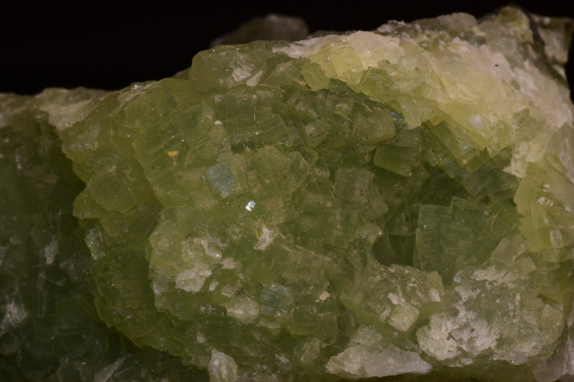 PREHNITE and ACTINOLITE – Boulemane, Morocco