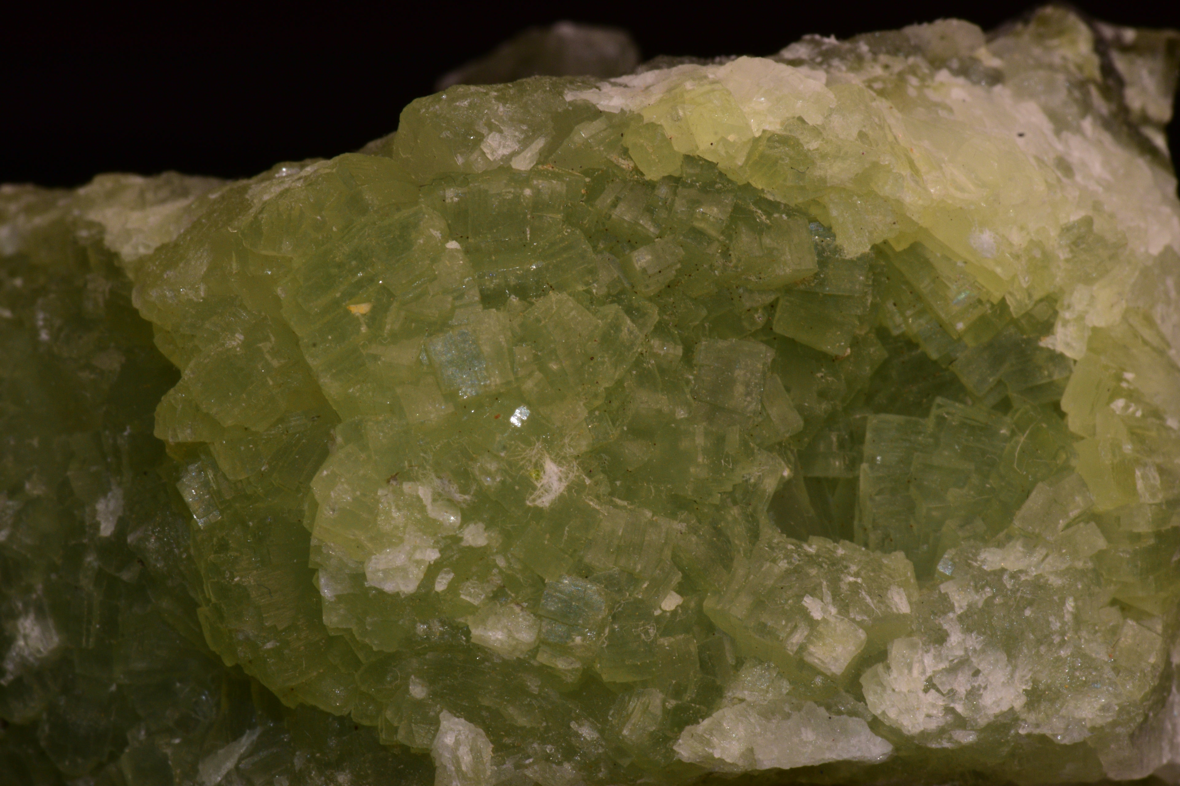 PREHNITE and ACTINOLITE – Boulemane, Morocco