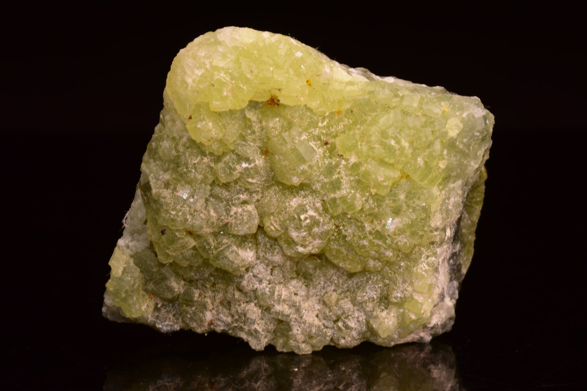 Prehnite and actinolite crystal from Boulemane, Morocco showing green and gray mineral formations on a mineral specimen.