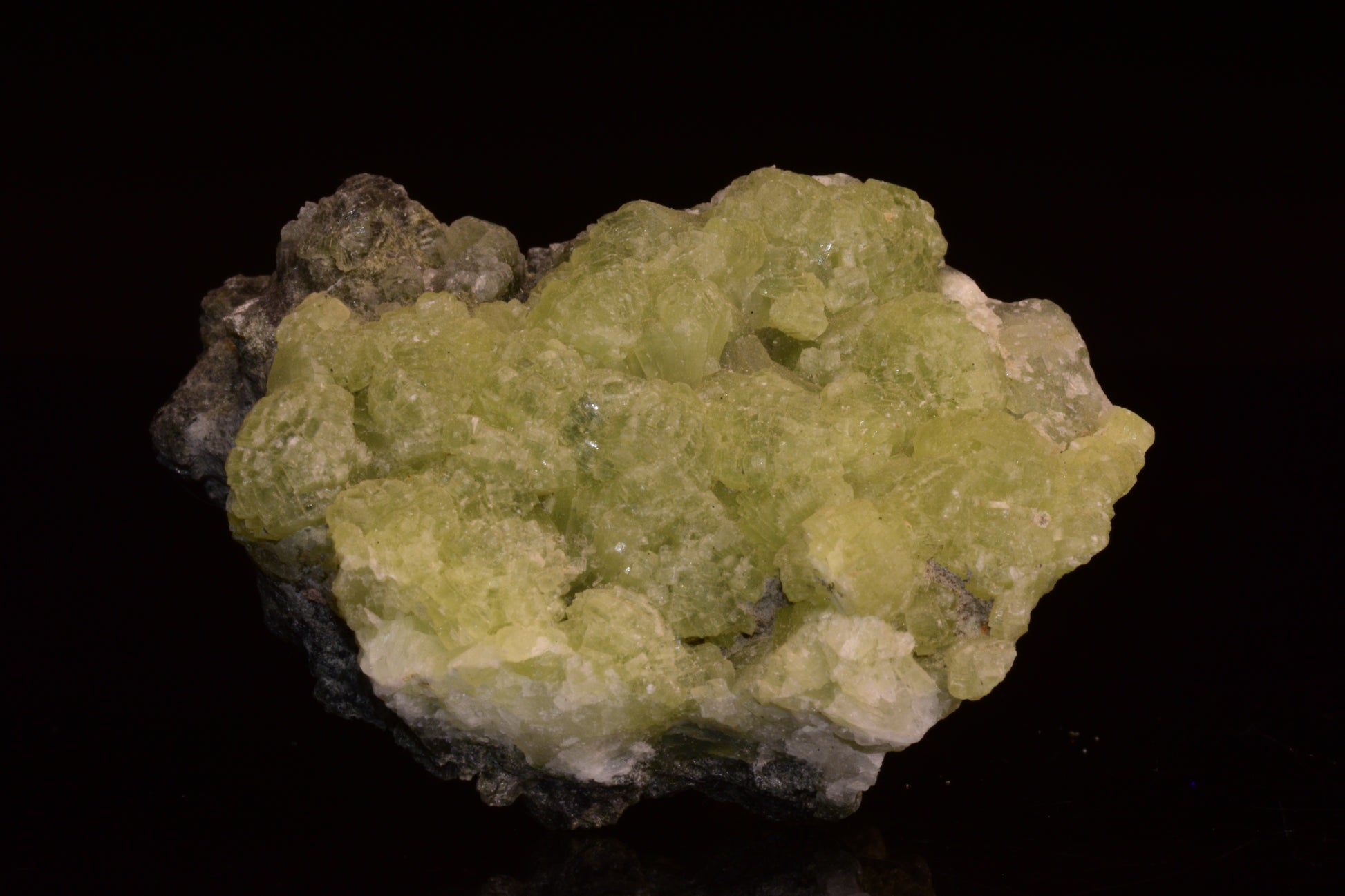 PREHNITE and ACTINOLITE – Boulemane, Morocco