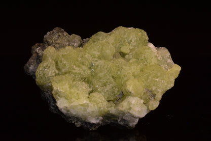 PREHNITE and ACTINOLITE – Boulemane, Morocco