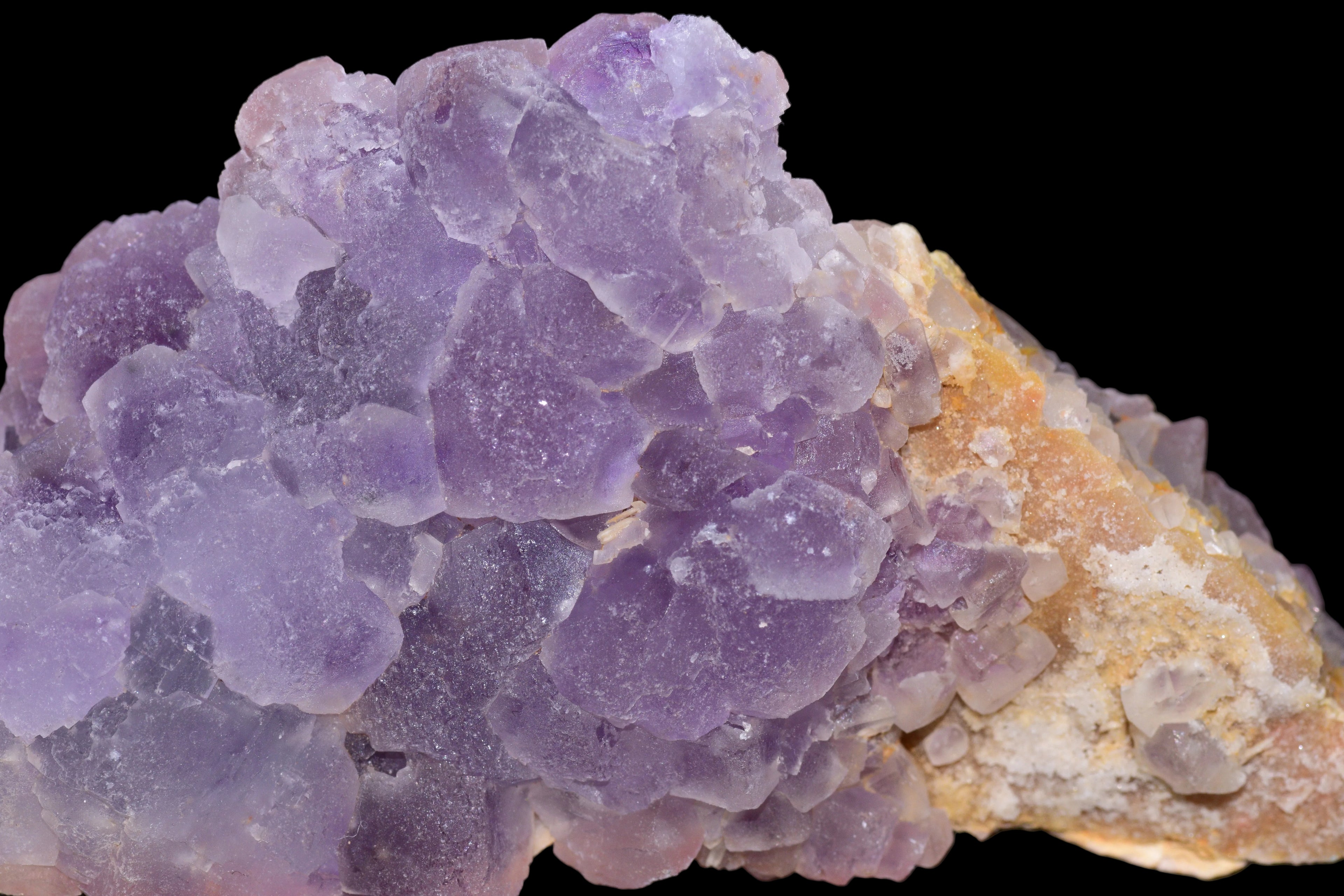 Purple Fluorite El Hammam Morocco