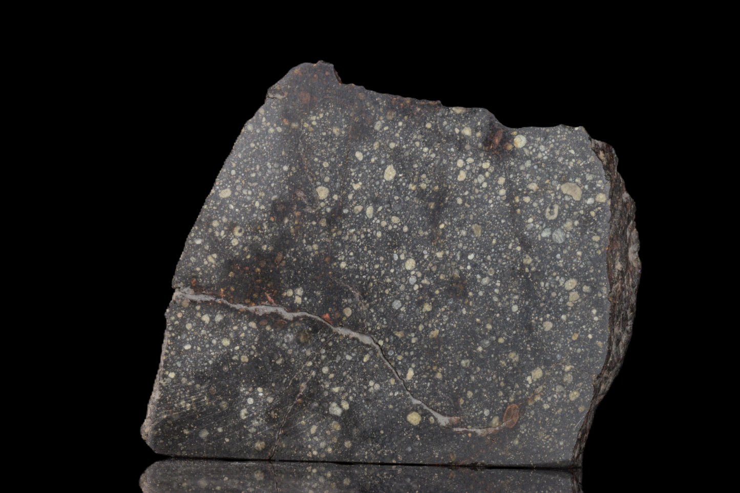 Rare NWA 12858 R3 meteorite for sale