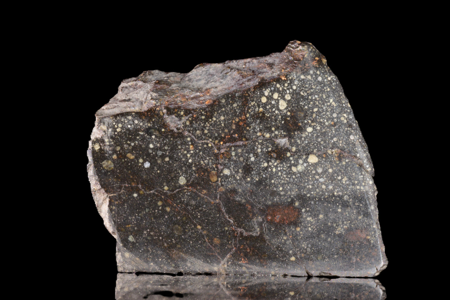 Rare NWA 12858 R3 meteorite for sale