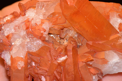 Red Quartz Crystal Cluster (Ferruginous Quartz) – Tinejdad, Morocco