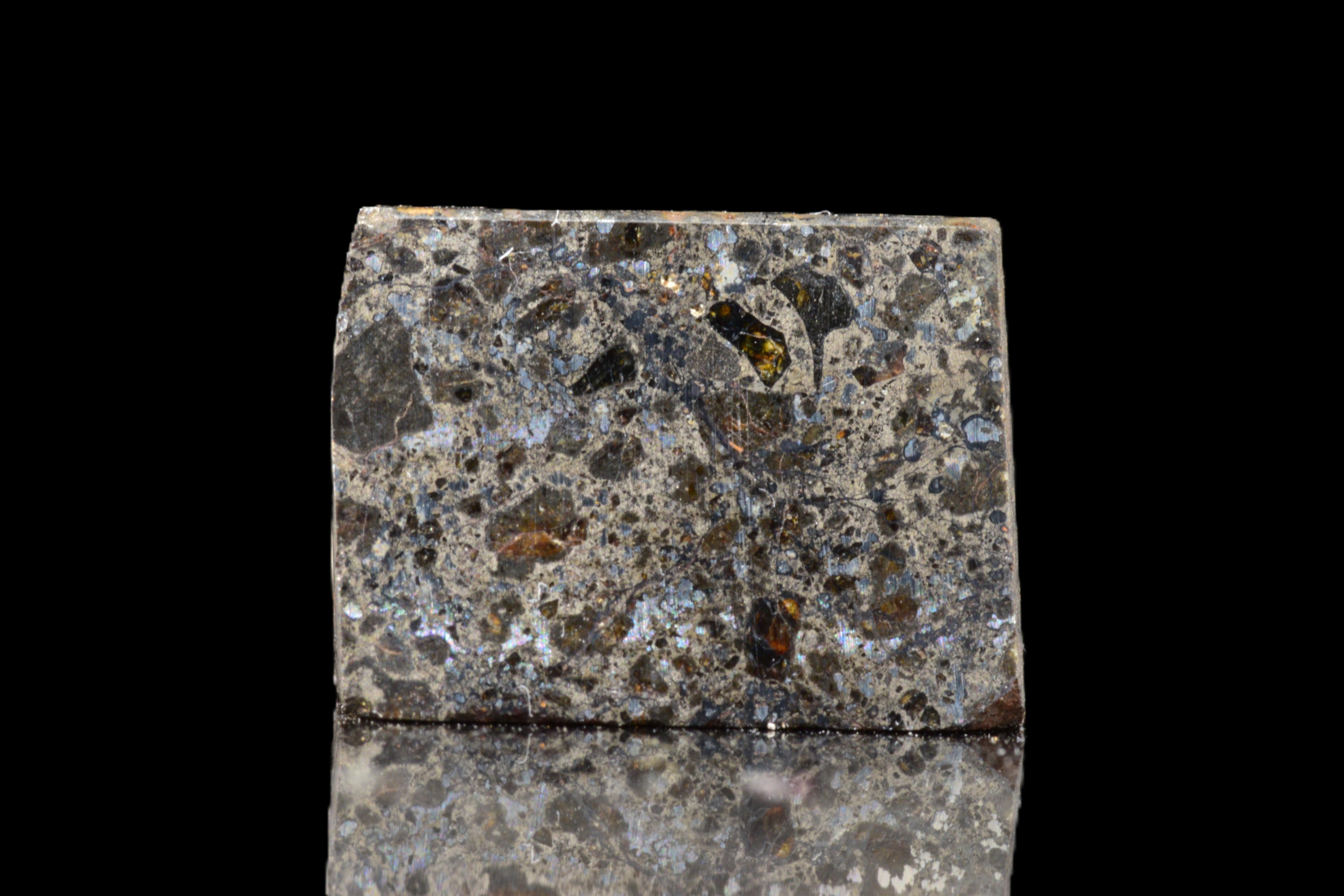 Talsint Mesosiderite Meteorite Slice – 2.43 g
