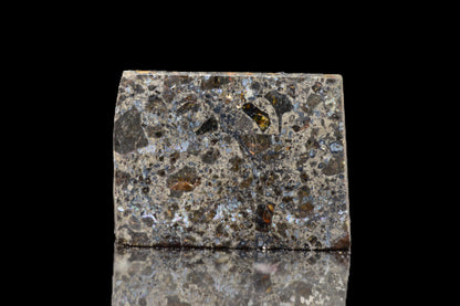 Talsint Mesosiderite Meteorite Slice – 2.43 g