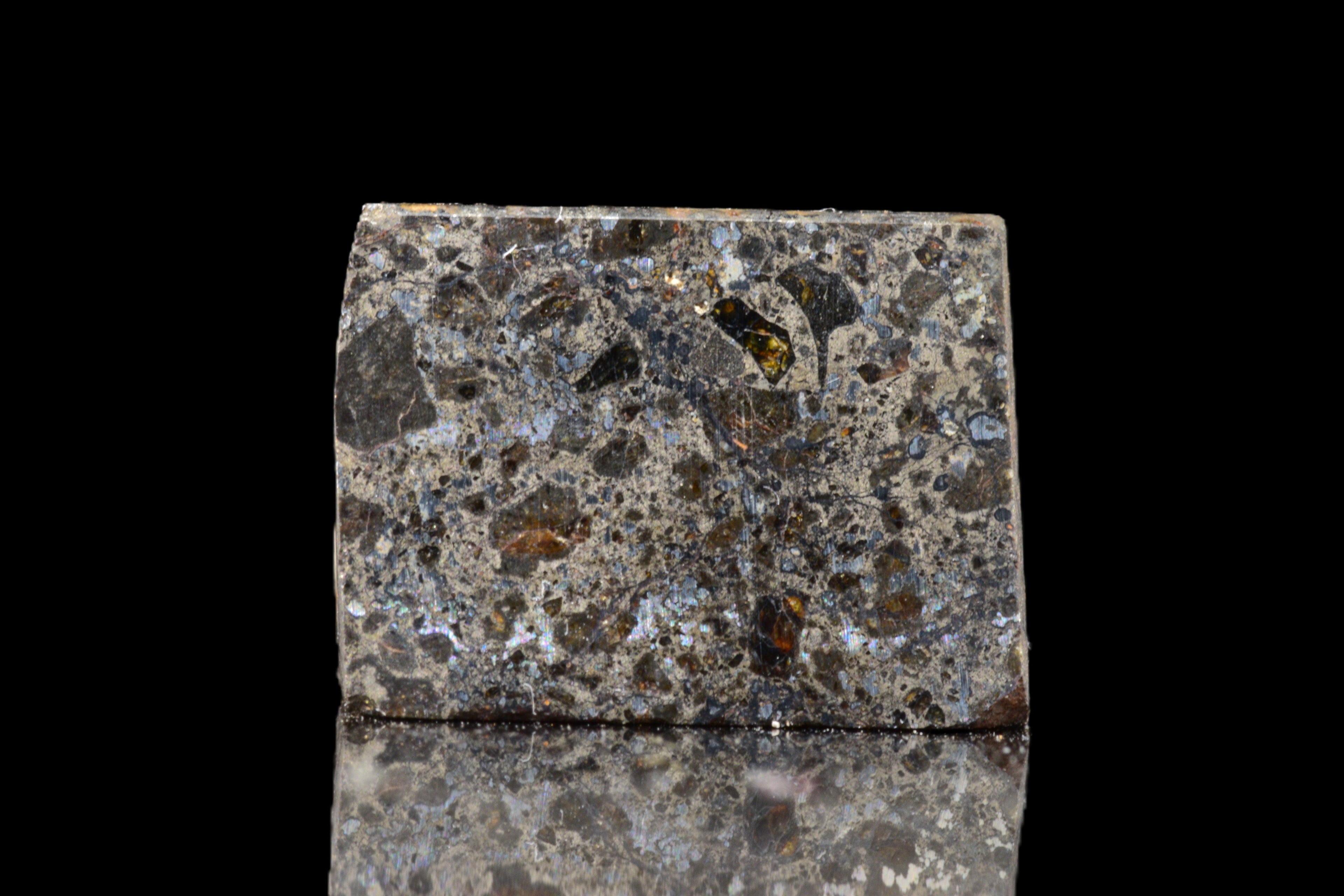 Talsint Mesosiderite Meteorite Slice – 2.43 g