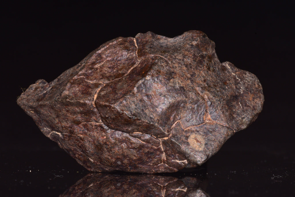Unclassified Chondrite Meteorite Complete fragment
