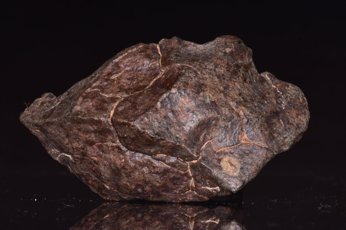 Unclassified Chondrite Meteorite Complete fragment