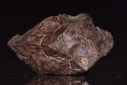 Unclassified Chondrite Meteorite Complete fragment