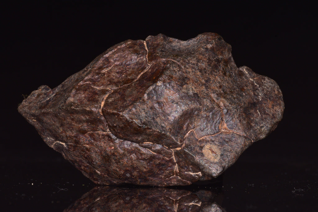 Unclassified Chondrite Meteorite Complete fragment