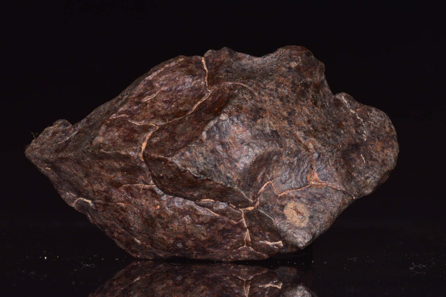 Unclassified Chondrite Meteorite Complete fragment