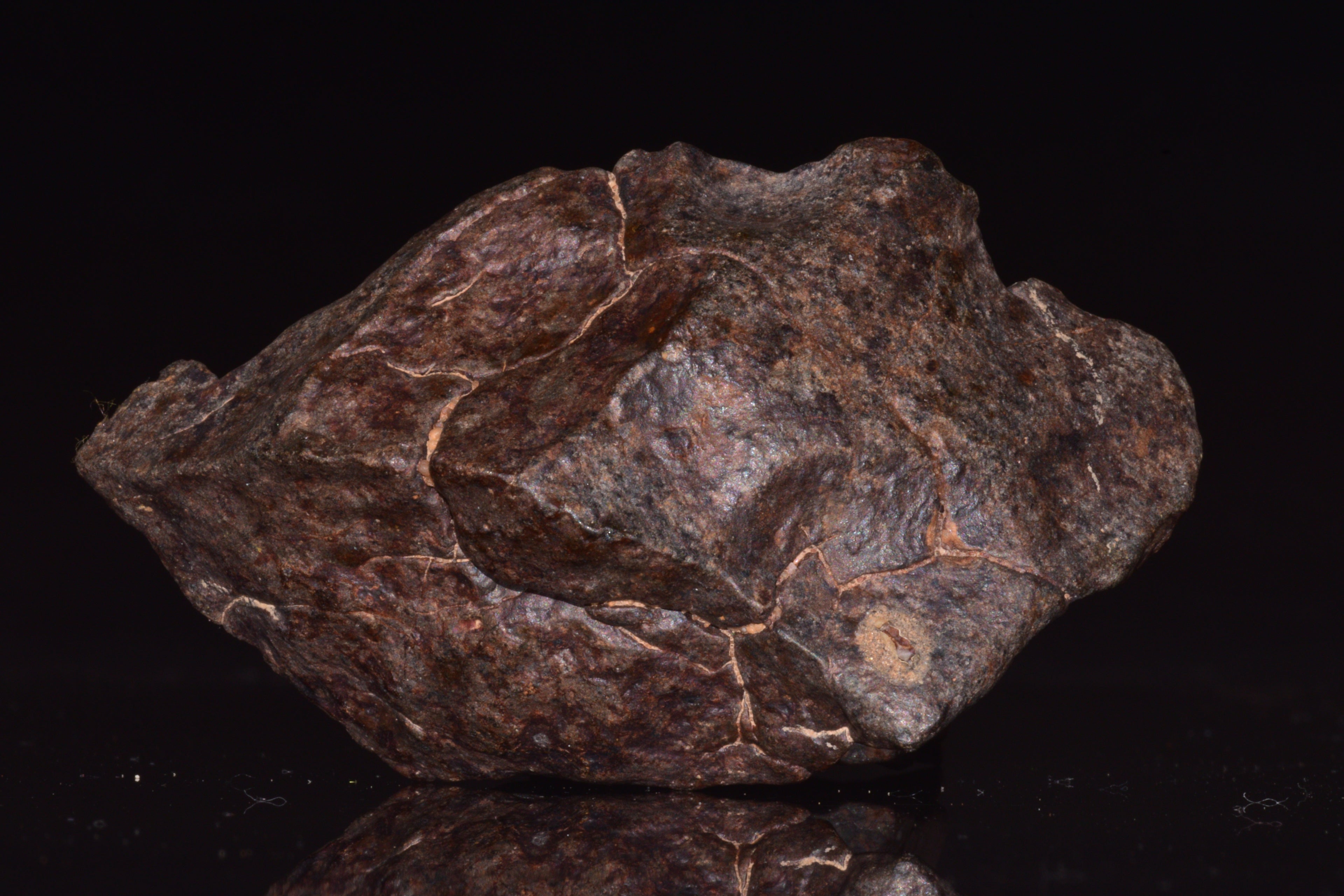 Unclassified Chondrite Meteorite Complete fragment