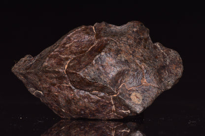 Unclassified Chondrite Meteorite Complete fragment