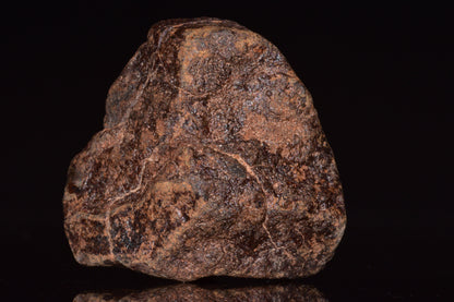 Unclassified Chondrite Meteorite Complete fragment