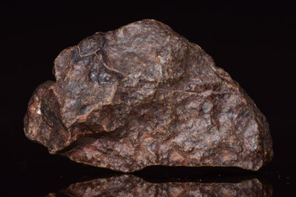 Unclassified Chondrite Meteorite Complete fragment