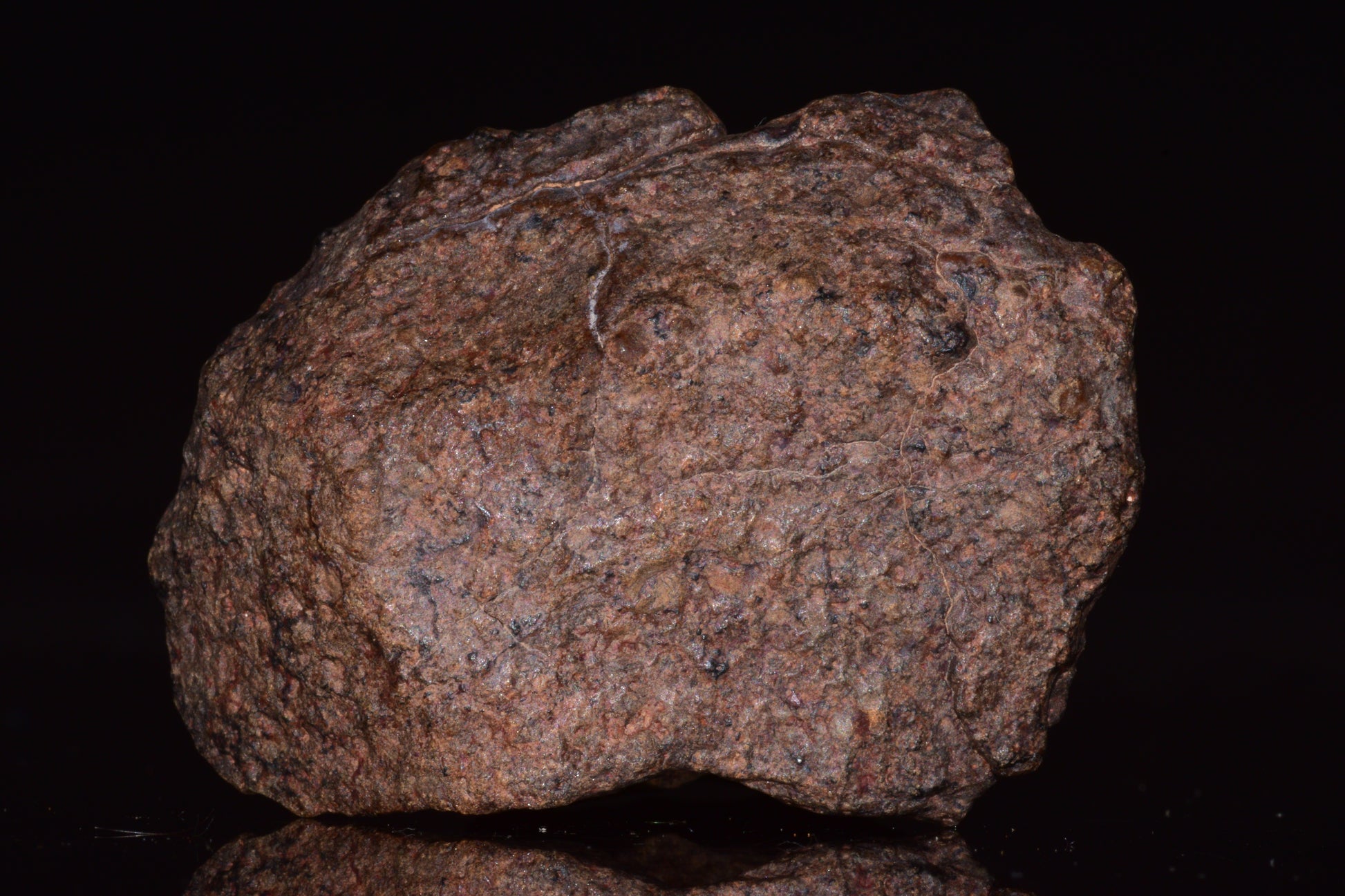 Unclassified Chondrite Meteorite Complete fragment