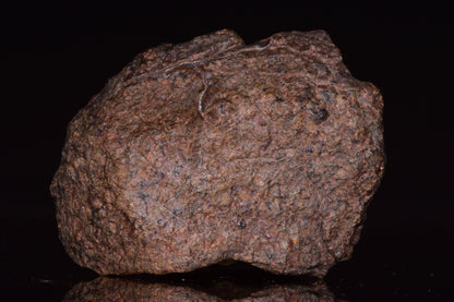 Unclassified Chondrite Meteorite Complete fragment