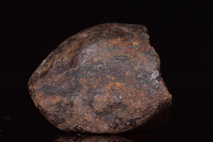 Unclassified Chondrite Meteorite Complete fragment